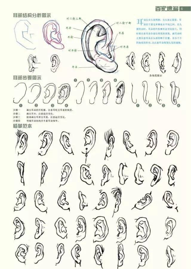 1558426404723037.jpg