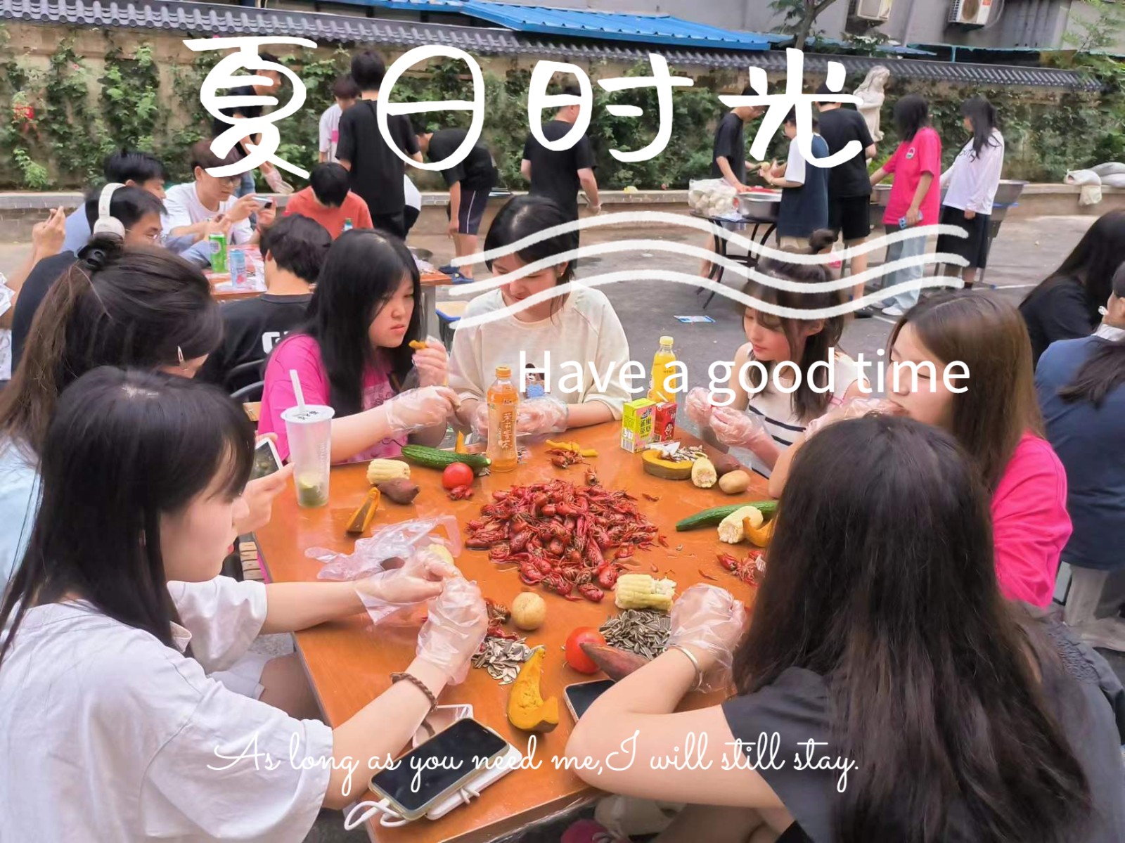 1718954113803117.jpg